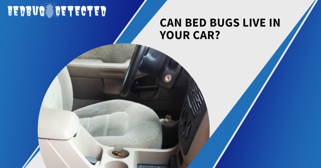 Do bed bugs live and hide in cars? Bedbug Detected