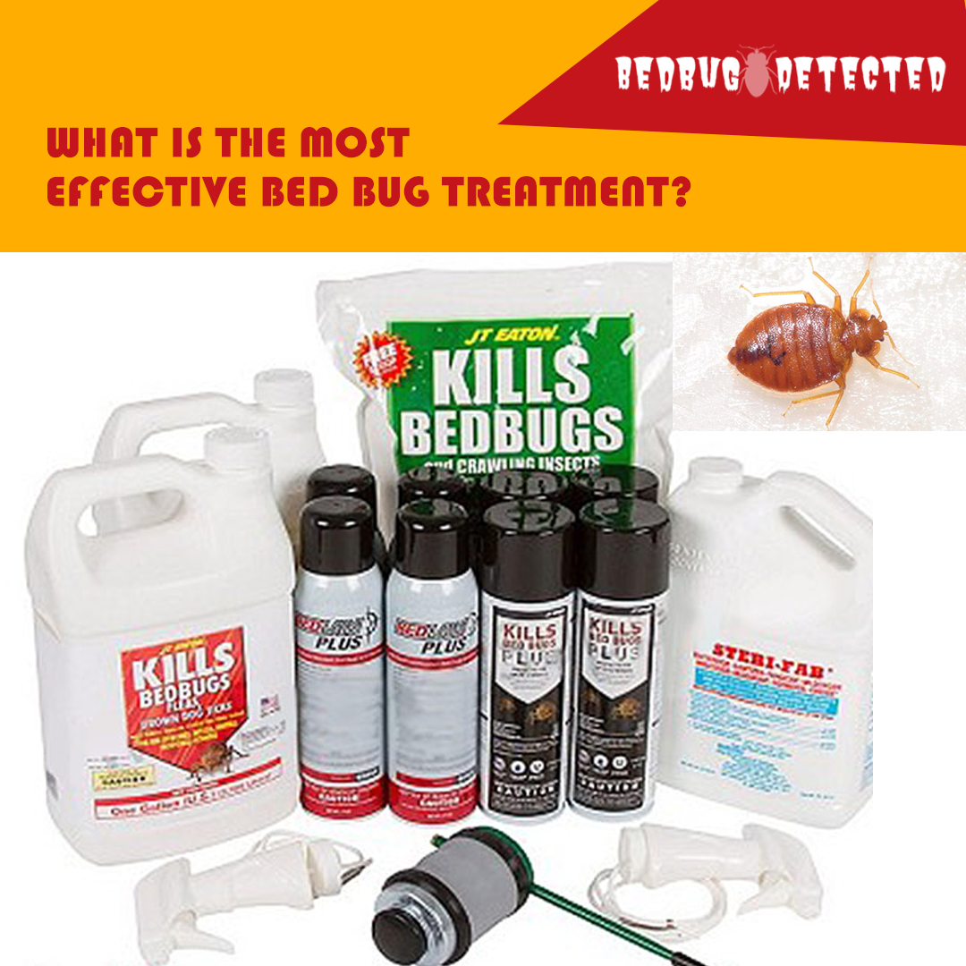 BEST-TREATMENT-FOR-BED-BUGS
