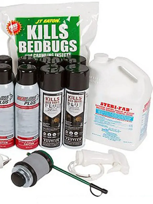 WHAT IS THE MOST EFFECTIVE BED BUG TREATMENT