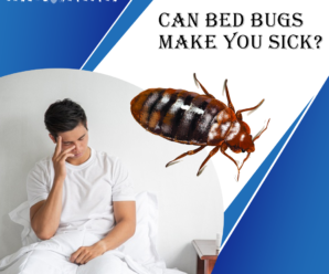 CAN-BED-BUGS-MAKE-YOU-SICK?
