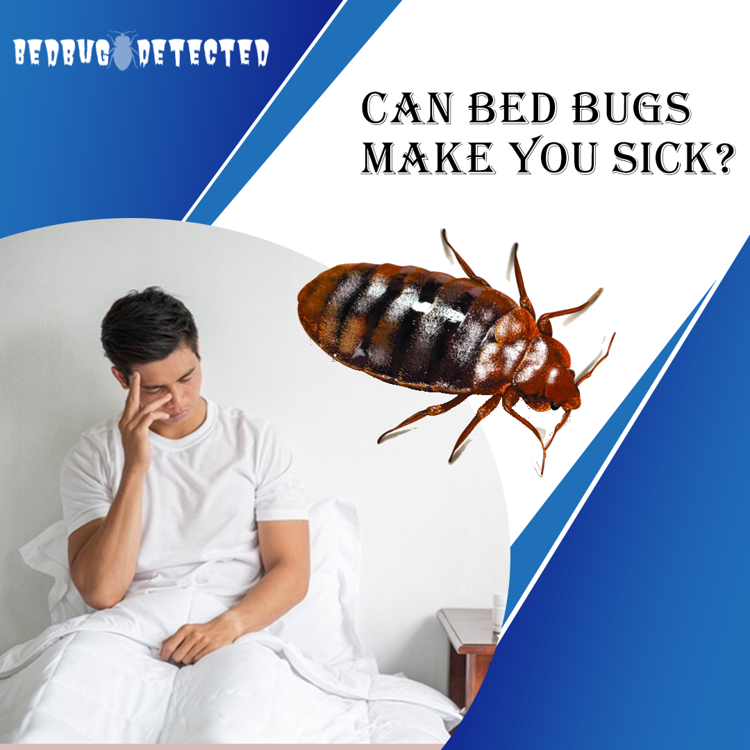 CAN BED BUGS MAKE YOU SICK?