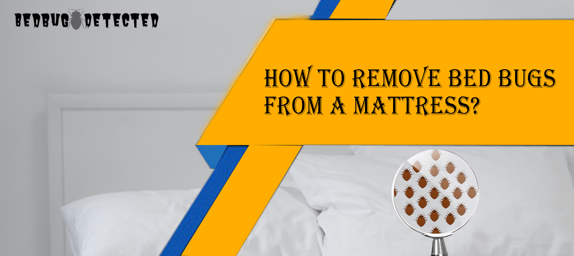 get-rid-of-bed-bugs-in-mattress
