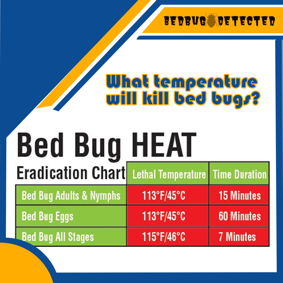 What temperature will kill bed bugs?