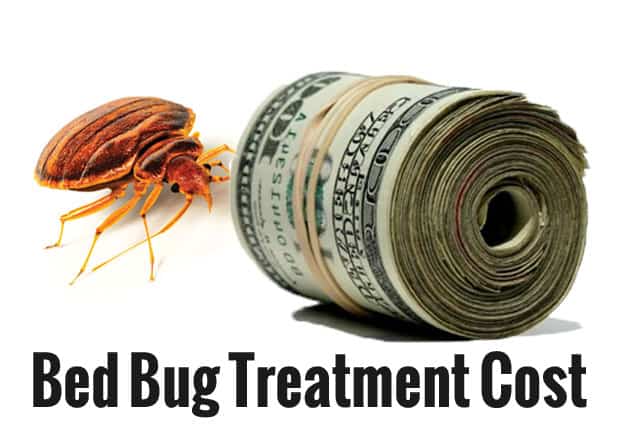 bedbugs cost