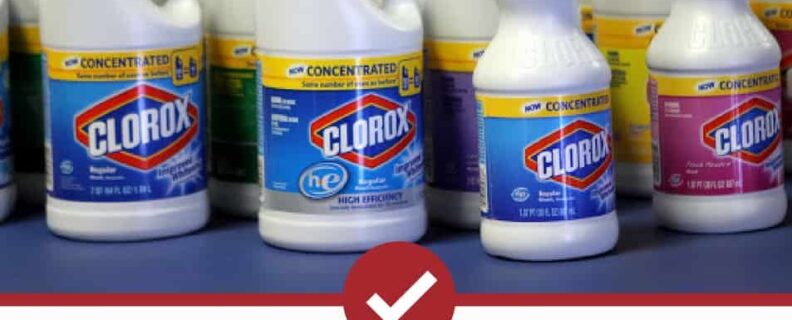 Does bleach kill bed bugs instantly