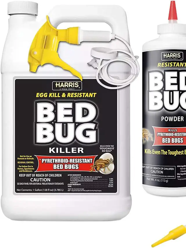 Supreme Repellent for bed bugs