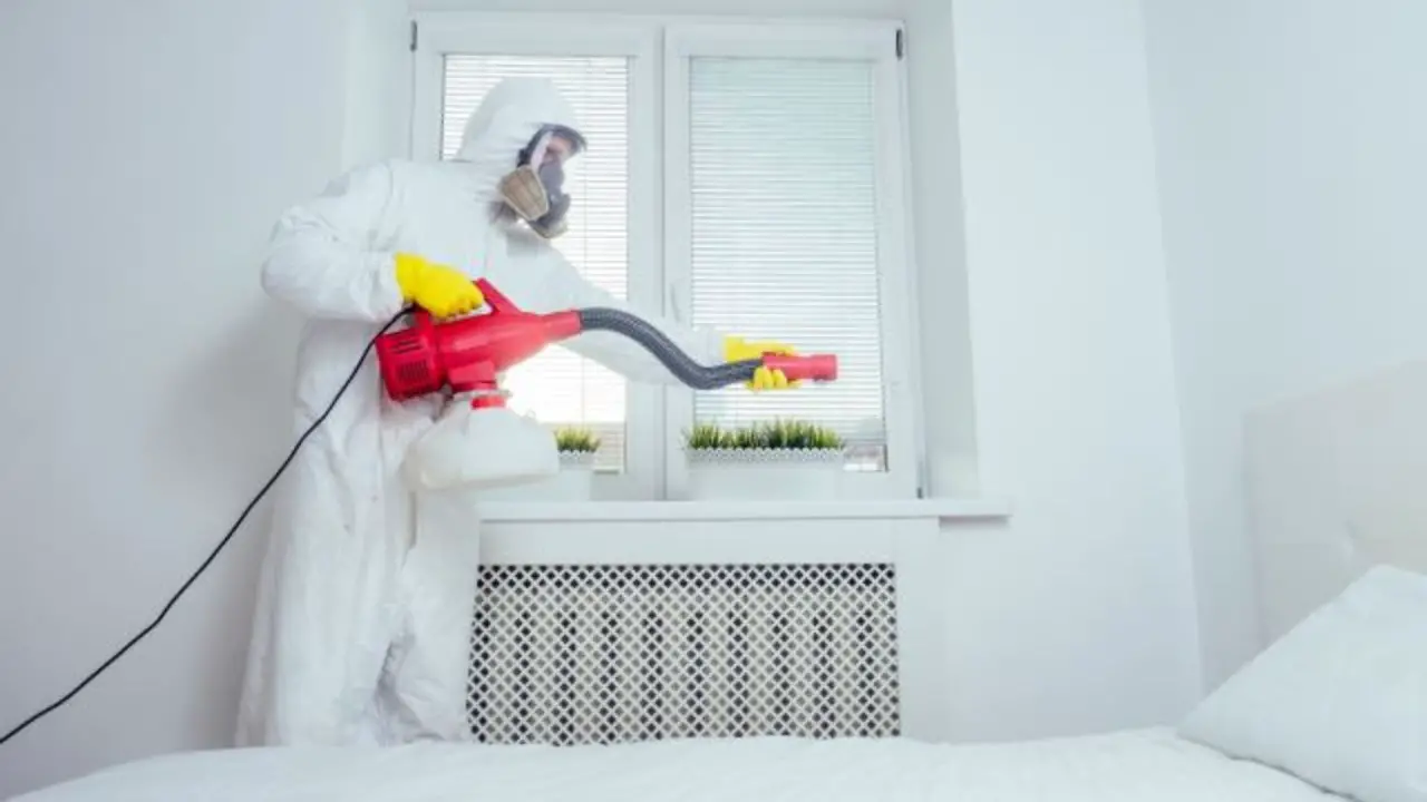 Exterminator’s choice to get rid of bed bugs