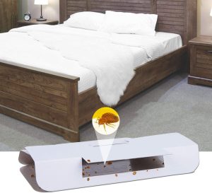 Effective Bed Bug Detectors