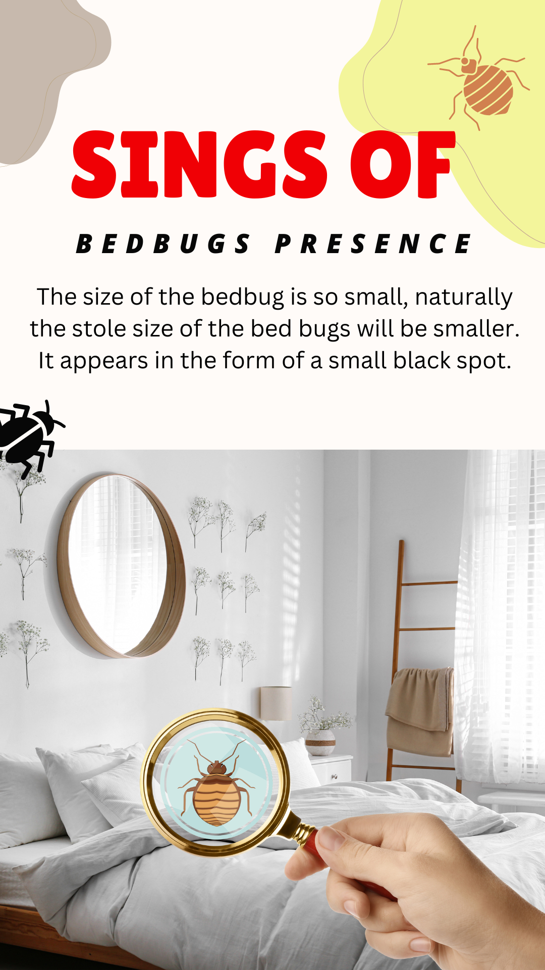 Do bed bugs make noise? Bed Bug Detected