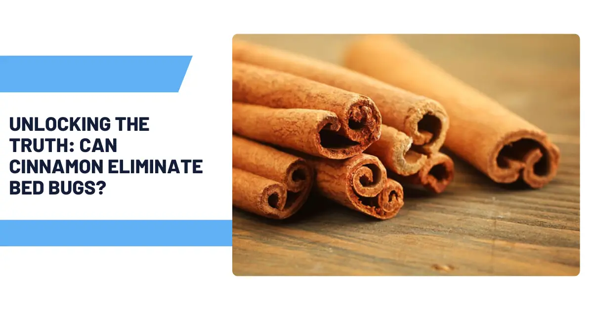Unlocking the Truth: Can Cinnamon Eliminate Bed Bugs?