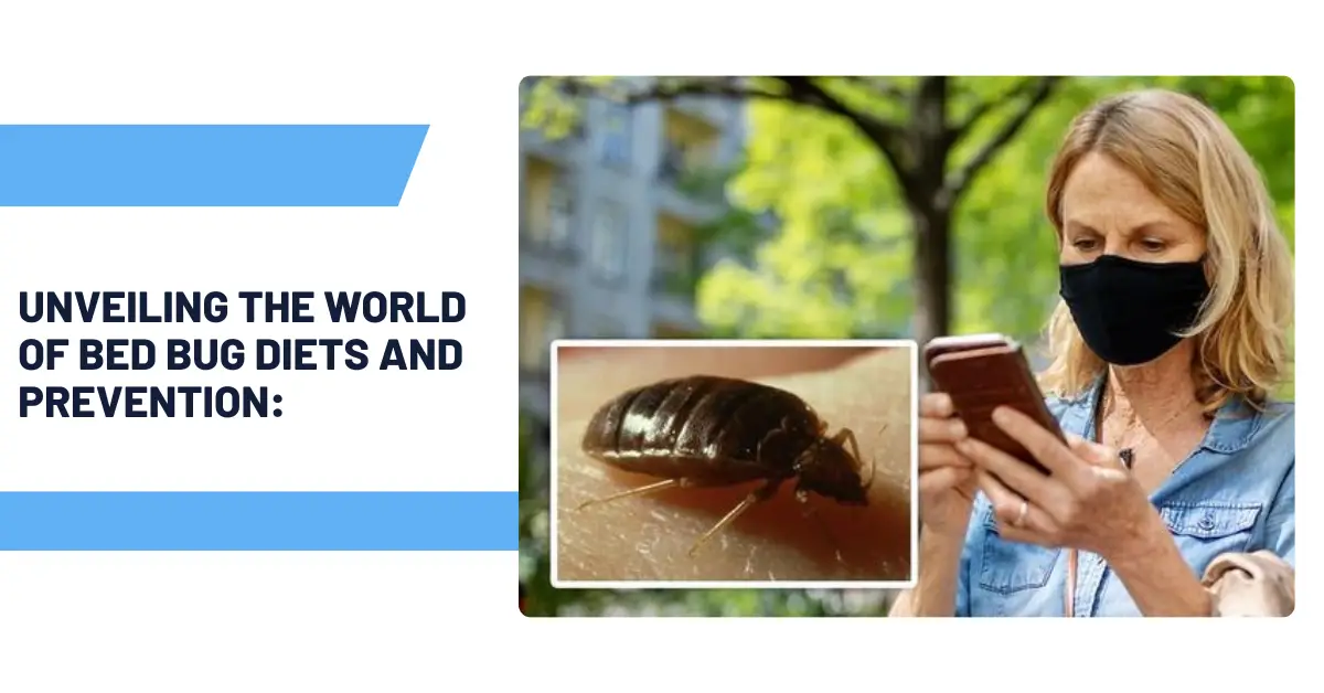 Unveiling the World of Bed Bug Diets and Prevention:
