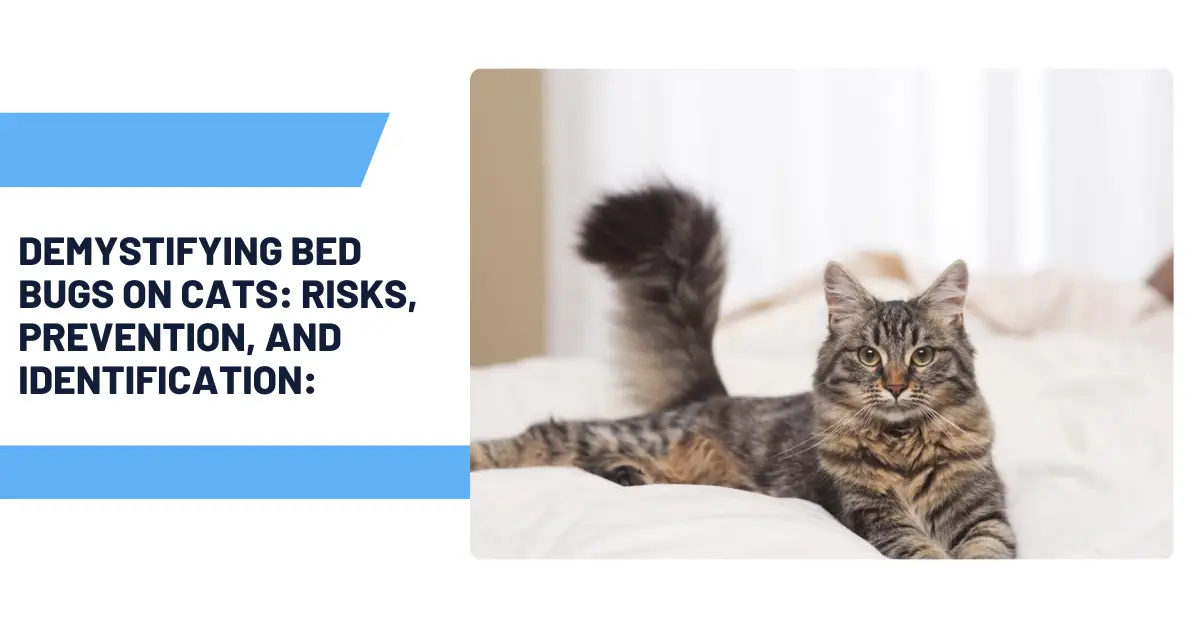 Demystifying Bed Bugs on Cats: Risks, Prevention, and Identification: